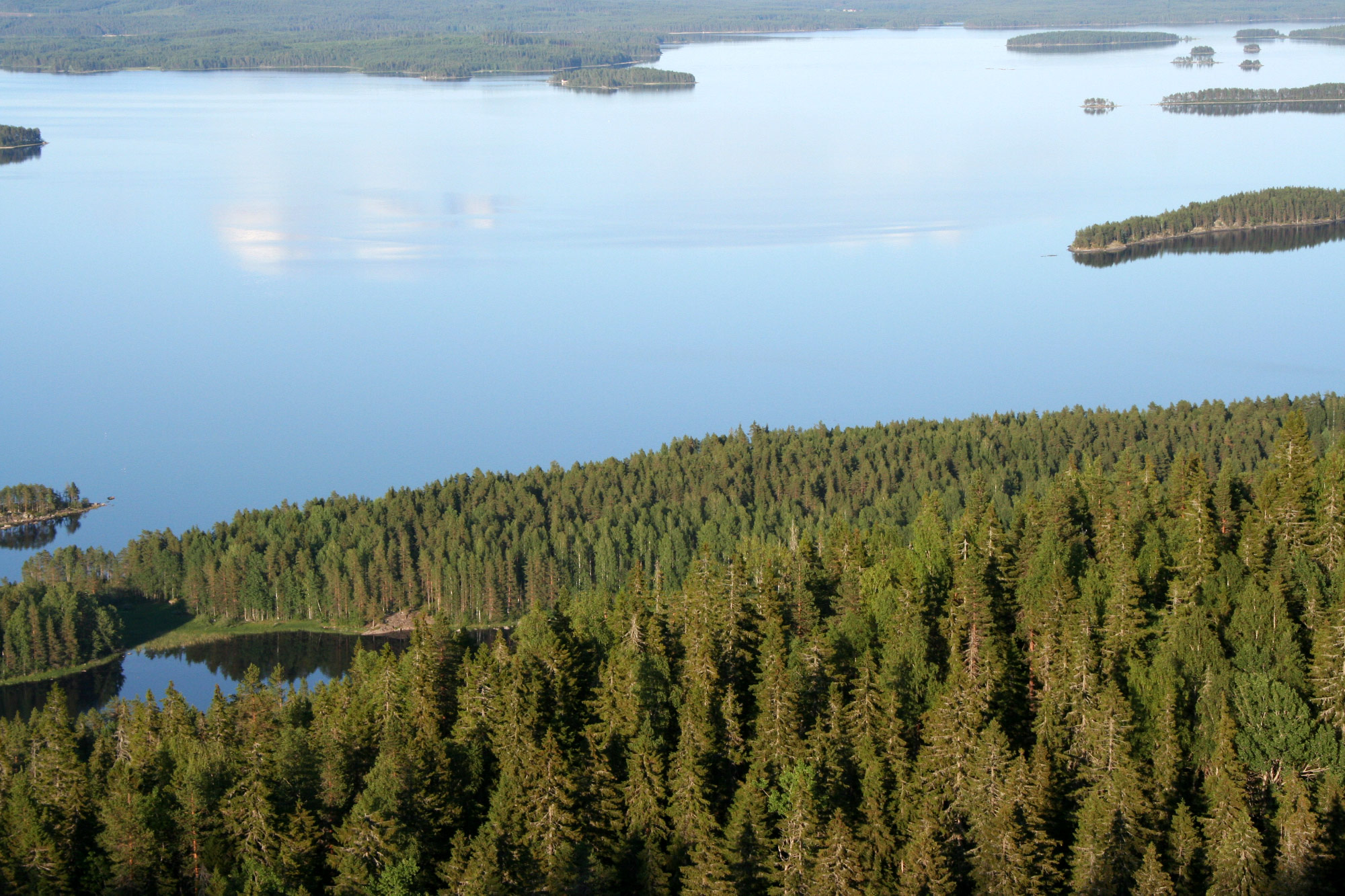 Koli National Park